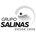 GrupoSalinas